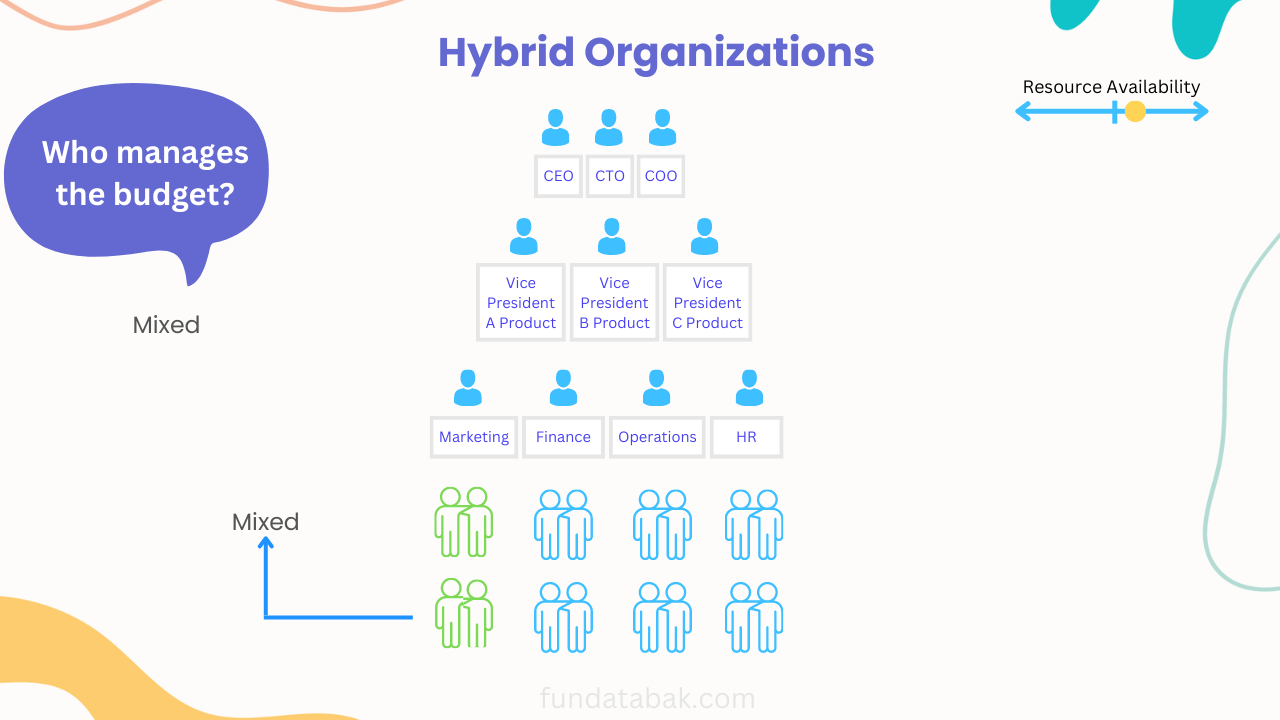 Hybrid organization structure