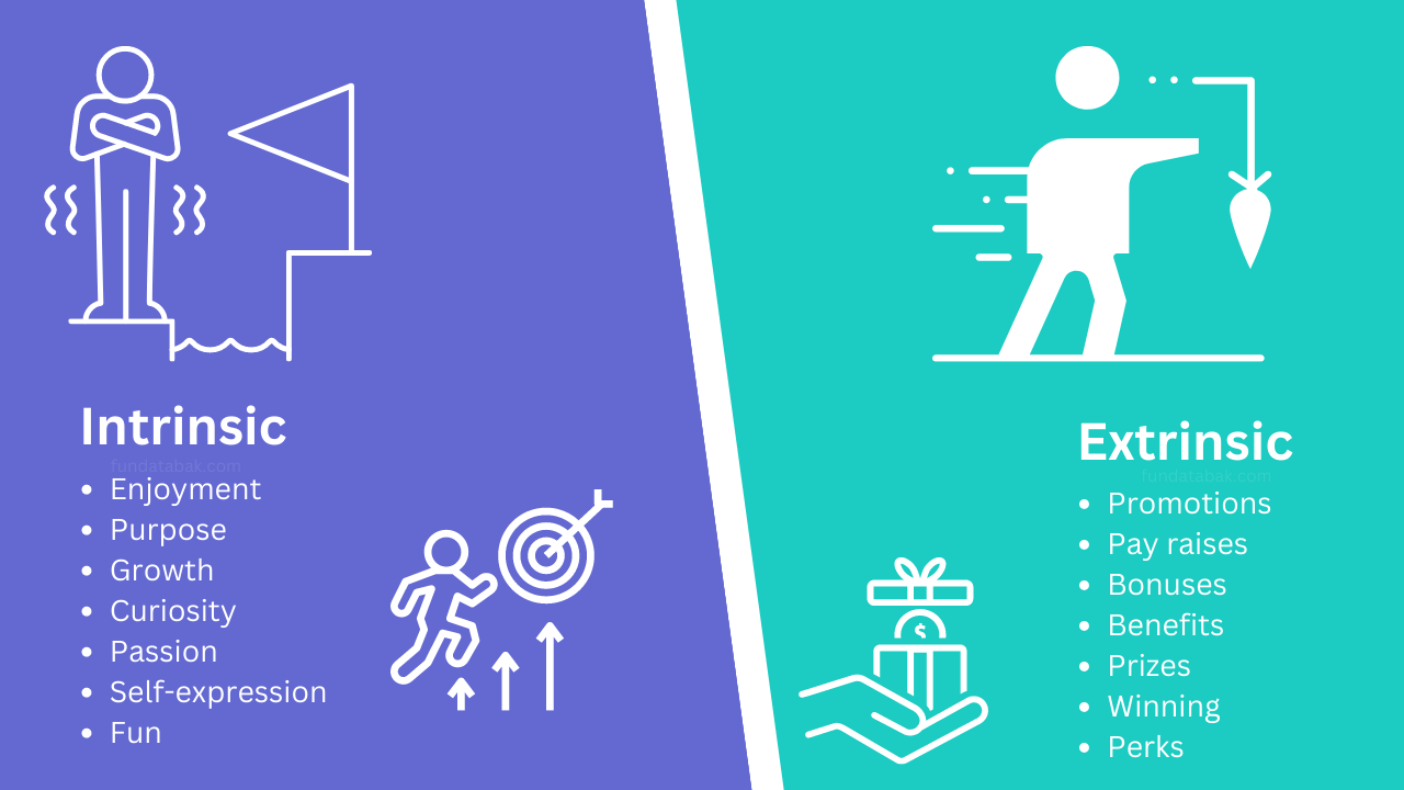 Intrinsic and extrinsic motivation