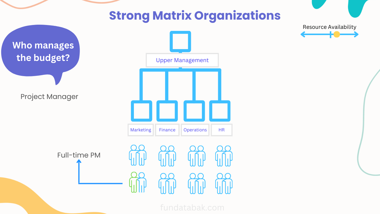 Strong matrix organization