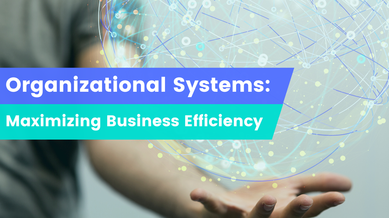 Organizational Systems Maximizing Business Efficiency